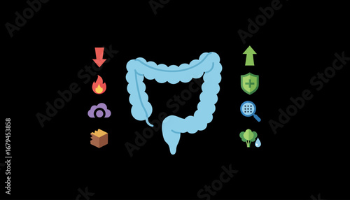 Diagram of the digestive system with associated health factors.
