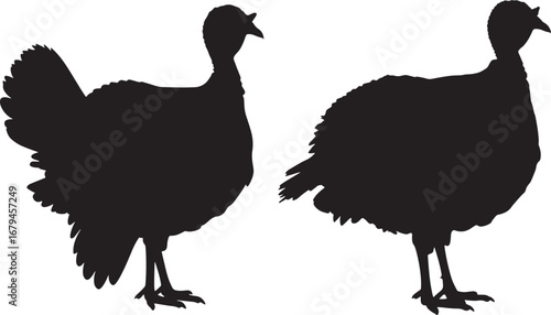 Two turkey silhouettes standing side by side silhouette