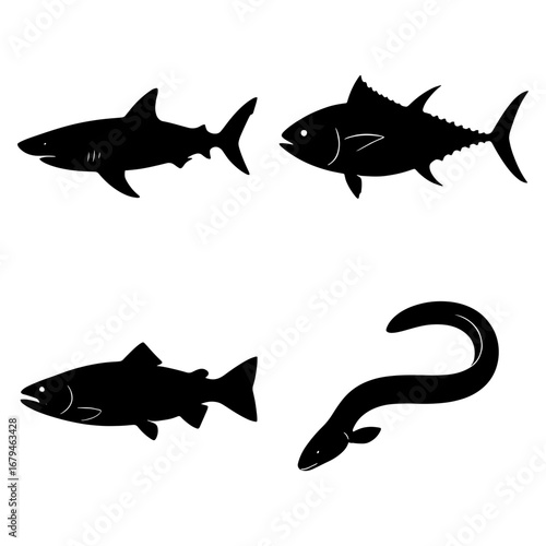 Illustration of four distinct fish species including a shark tuna salmon and an eel in black silhouette