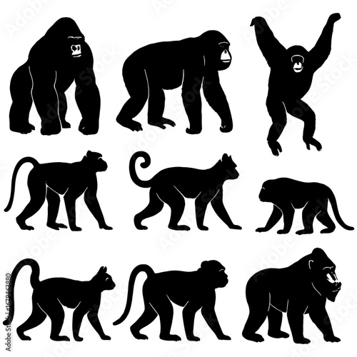 Silhouette illustration of various primates including gorillas monkeys and an orangutan in different poses