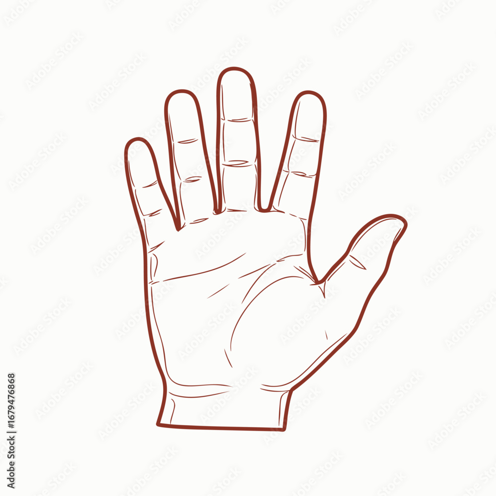 Obraz premium Hand illustration showcasing five fingers with a clean background, ideal for educational or design purposes