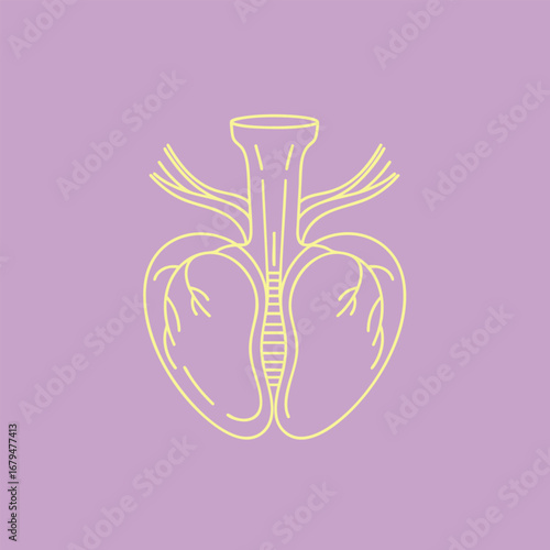 Stylized illustration of a human heart and lungs in yellow on a soft purple background, ideal for educational materials