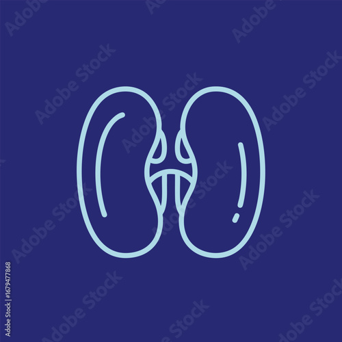 Stylized illustration of two kidney shapes intertwined against a deep blue background, symbolizing health and anatomy