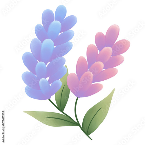 pink and white flower