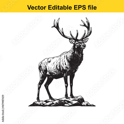 An elk majestic stag with large antlers standing on a rock, isolated on white background