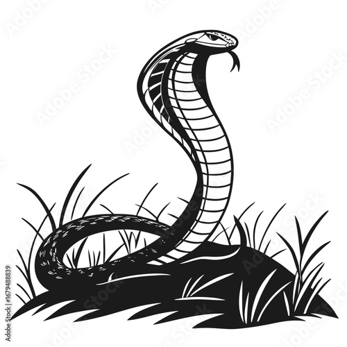 Realistic serpent curled silhouette vector