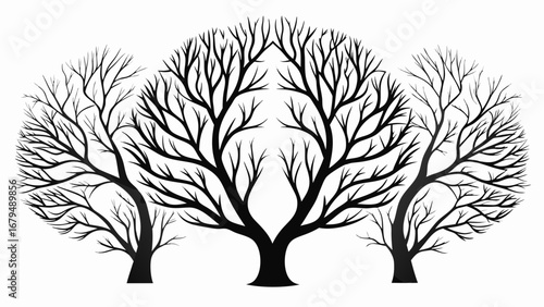 Stunning stark silhouette of bare trees creating a natural symmetrical design, perfect for seasonal themes