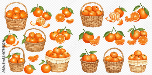 A collection of watercolor illustrations of fresh tangerines in wicker baskets, shown whole, peeled, and sliced.