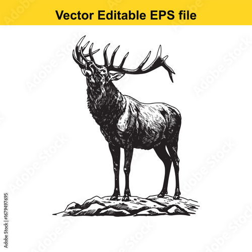 An elk majestic stag with large antlers standing on a rocky outcrop, isolated on white background