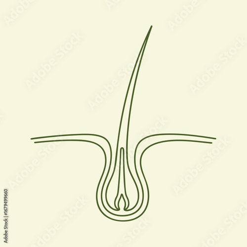 Detailed illustration of a hair follicle structure, showcasing its components and anatomy against a soft background