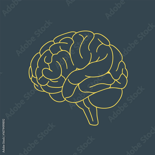 Outline of a human brain in yellow against a dark blue background, symbolizing creativity and cognition