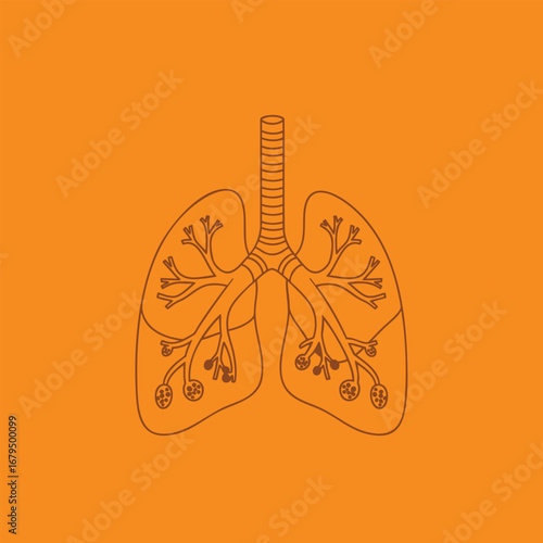 Illustration of human lungs with detailed bronchial structure on a vibrant orange background, ideal for educational use