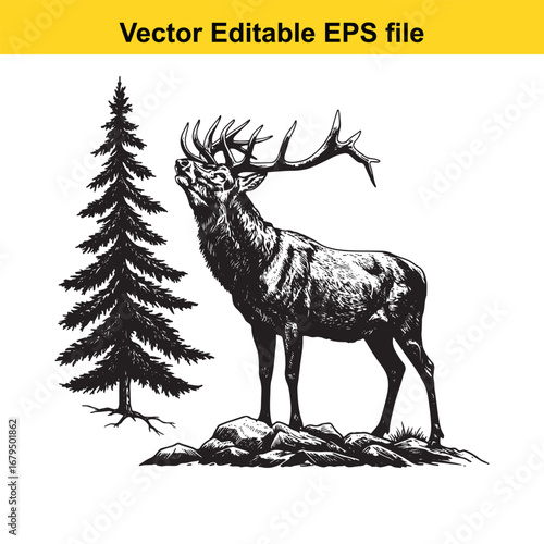 An elk majestic stag with large antlers stands on rocks next to a pine tree