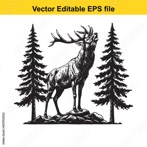 An elk majestic stag standing on rocks between two pine trees, black and white illustration