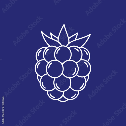 Outline of a ripe raspberry on a deep blue background, showcasing its texture and shape, ideal for food-related designs