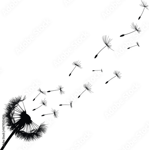 Silhouette of dandelion blowing in wind with flying seeds, nature concept, perfect for growth, freedom, botanical, and spring design