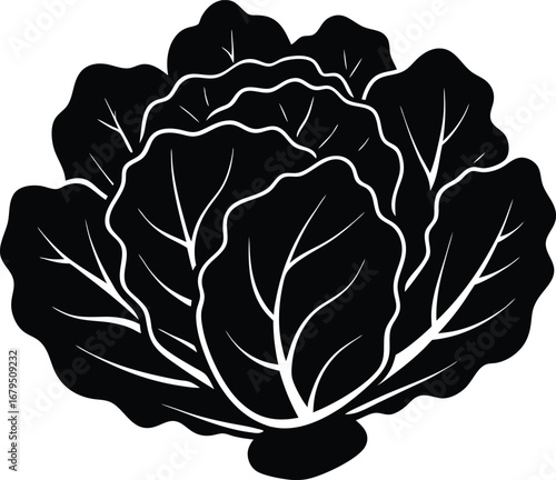 A simple vintage vector drawing of a black and white cabbage flower, with a seamless leaf pattern
