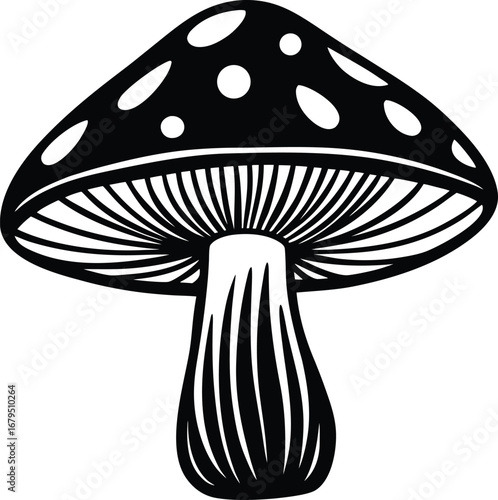 A colorful vector illustration of a red toadstool mushroom with white spots and green leaves in the grass