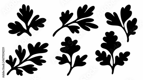 Silhouette illustration of six parsley sprigs with detailed leaf structures on a white background | editable eps vectors