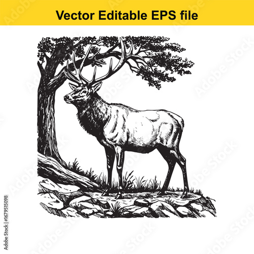 An elk majestic elk with large antlers standing in a forest clearing with a tree