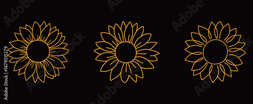 Set of three sunflower illustrations in line art style. Yellow line vector drawings of sunflowers on a black background, perfect for floral, nature, or summer-themed designs.