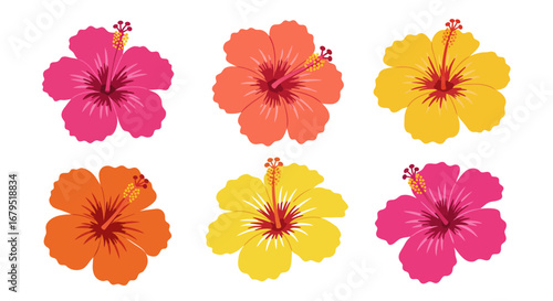 Vibrant collection of six tropical hibiscus flowers in pink orange and yellow isolated on white background