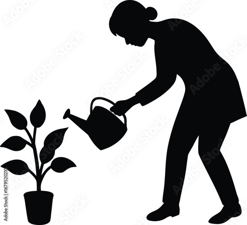 Silhouette of a person watering a potted plant