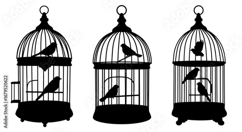 Three silhouette vintage bird cages with birds perched inside on white background
