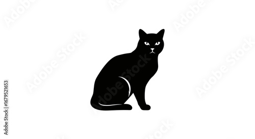 Mysterious black cat silhouette sitting alertly with intense eyes on a white background