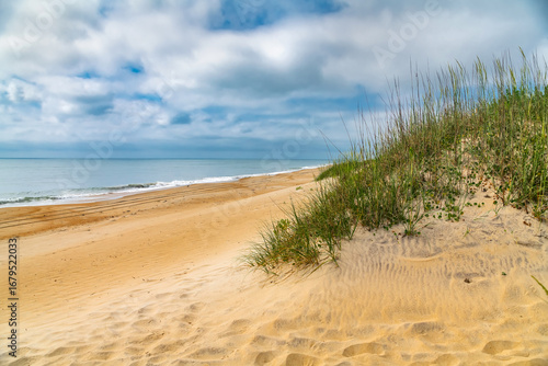 Fototapeta Naklejka Na Ścianę i Meble -  Coastal sand dunes with grass under blue overcast sky.