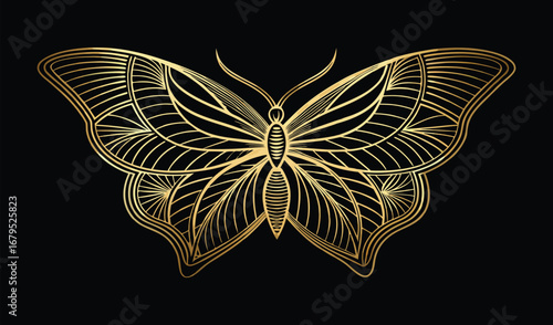 An intricate ornate butterfly with delicate wings is a stunning design element, a perfect illustration of summer nature isolated on a black background