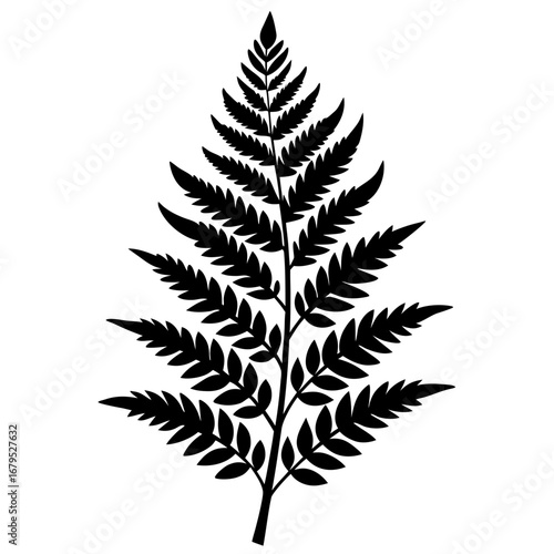 Minimal Shadow Fern Black Silhouette Vector Illustration on White Background