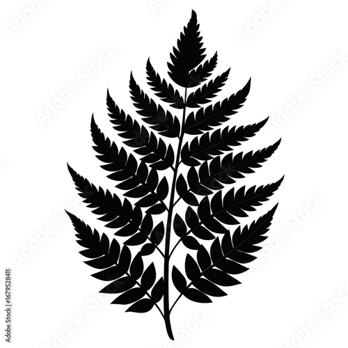 Simple Fern Leaf Shadow Silhouette Vector Design Isolated on White