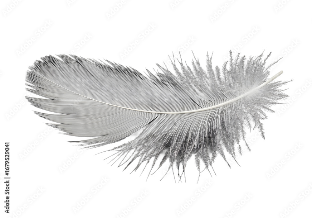 A single delicate white feather with intricate barbules floats gracefully against a stark black background