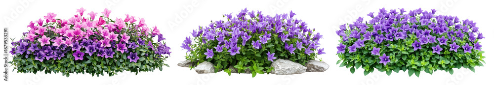 PNG Vibrant floral garden clusters, element set on transparent background PNG Vibrant floral garden clusters, element set on transparent background