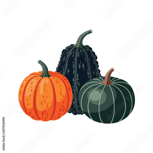 Autumn harvest squash and gourd assortment three distinct varieties