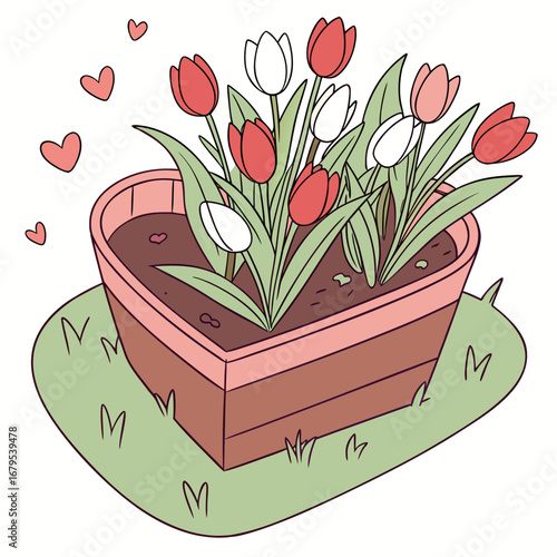 Charming illustration of a heart shaped planter filled with blooming red and white tulips surrounded by floating hearts