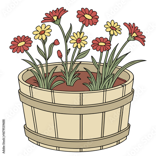 Charming illustration of red and yellow daisies blooming in a rustic wooden planter with green leaves