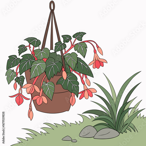 Delicate pink fuchsia flowers cascade from a hanging basket surrounded by lush green foliage and garden elements