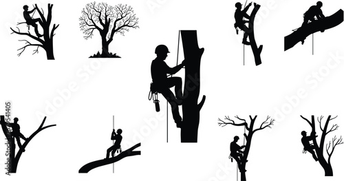 Tree climber silhouettes in various poses, arborist climbing equipment, safety gear, forest work, professional tree trimming, black and white illustration.