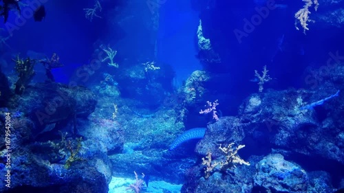 Wallpaper Mural Underwater Exploration Scene with Coral Reefs and Marine Life Torontodigital.ca