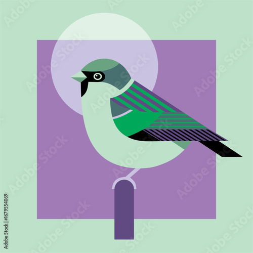 Geometric sparrow on perch