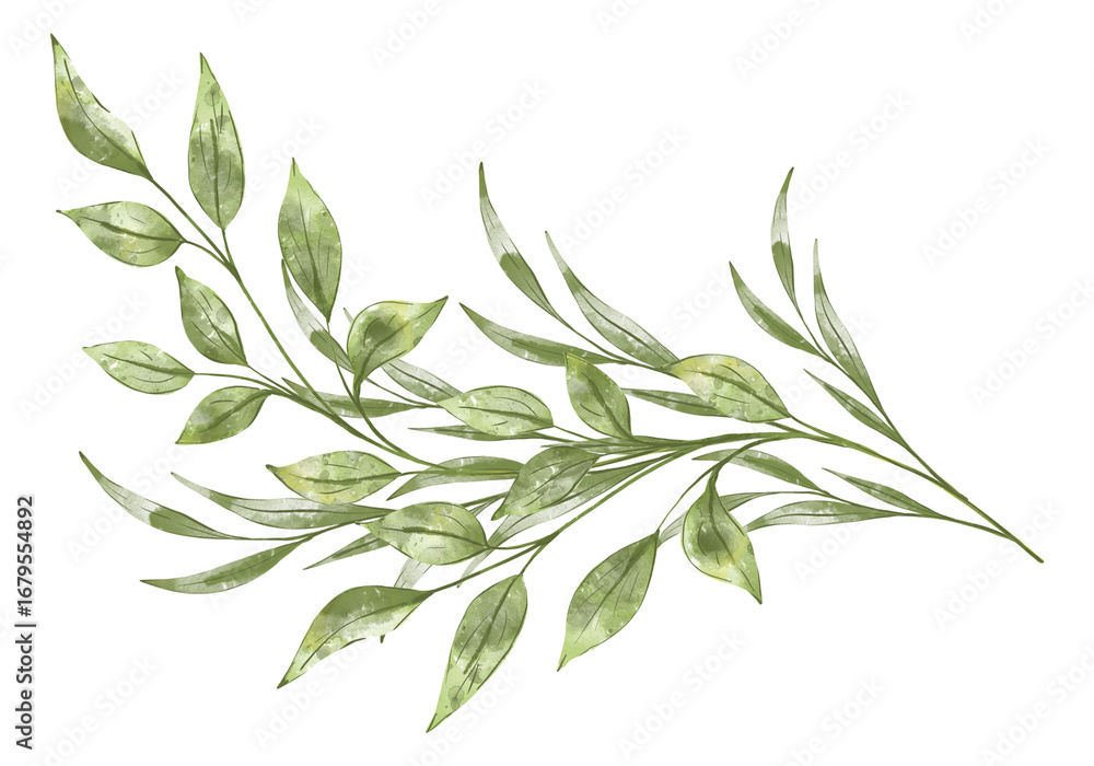 Fototapeta premium Watercolor greenery branch isolated on white background. Botanical hand painting illustration for wedding invitation, greeting card end eco design