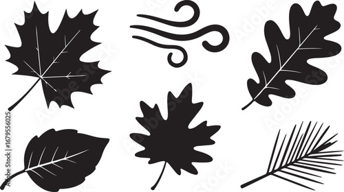 Autumn Leaves Vector Set: Maple, Oak, Birch, and Pine Leaves for Fall Season