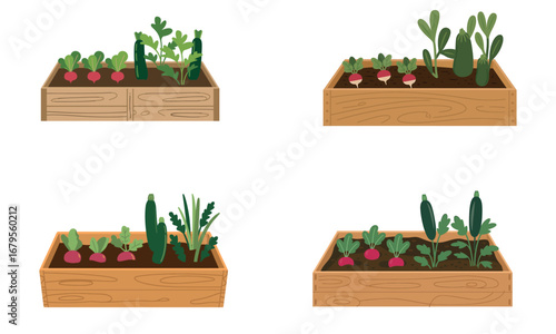 Vegetable garden box illustration with fresh organic plants for farming and agriculture design 
