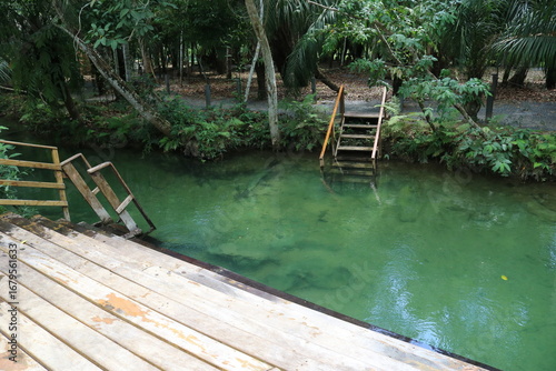Crystal clear lake with greenish tones with a wooden deck near a point and coconut trees surrounded by nature