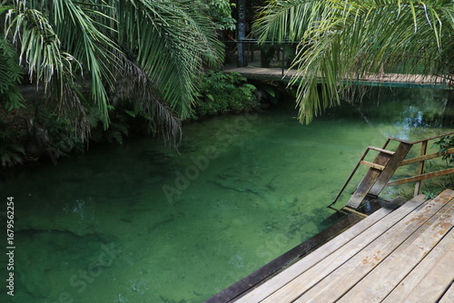 Crystal clear lake with greenish tones with a wooden deck near a point and coconut trees surrounded by nature