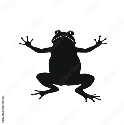 Black Frog Silhouette with Spread Limbs, Webbed Toes, and White Eyes in Top-Down View on White Background for Nature Illustration