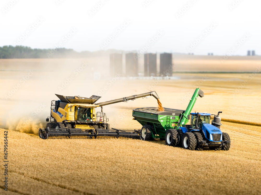 Fototapeta premium combine harvester working in a field