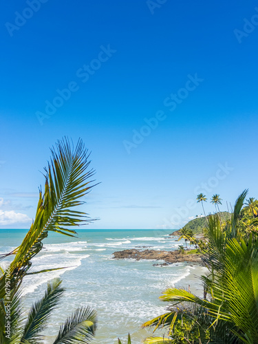 Tropical Beach View with Palm Leaves and Rocky Shoreline in Itacaré, Brazil